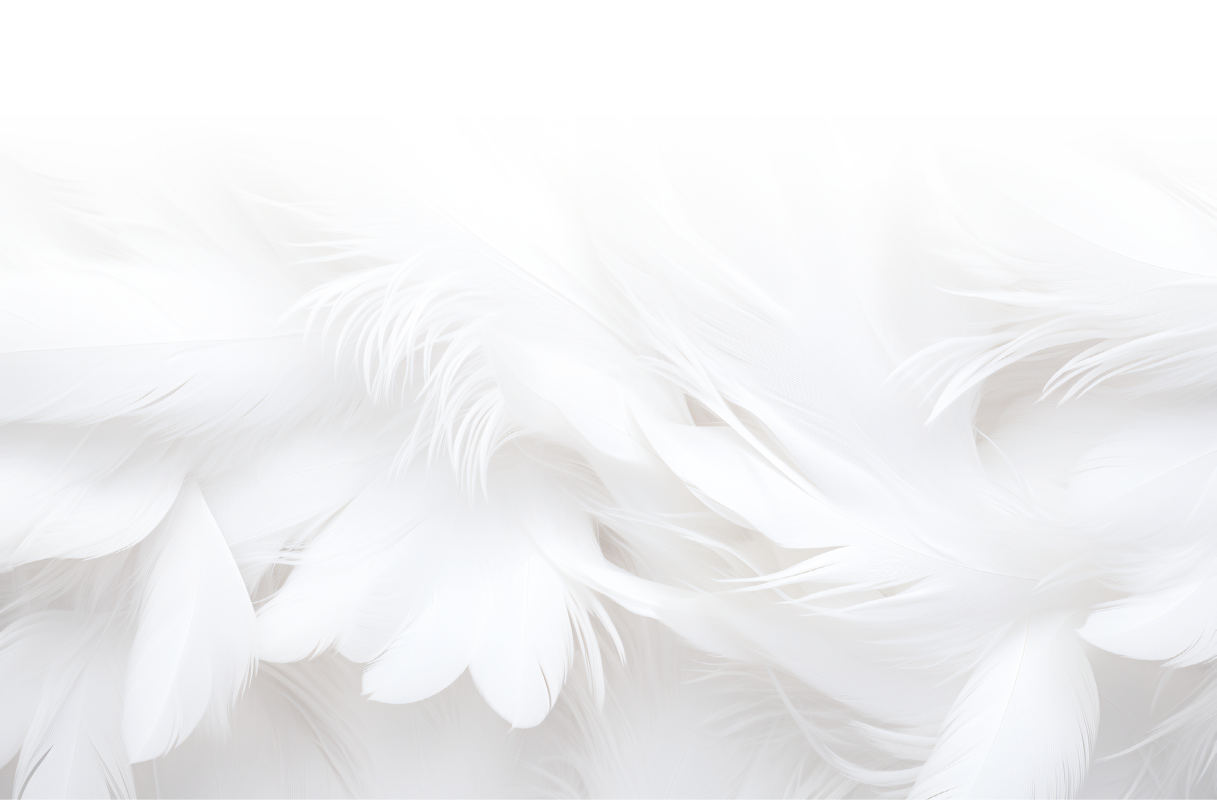 White Soft Feathers Background, White Fluffy feathers pattern, Beautiful feathers background, feathers wallpaper, bird feathers pattern, AI Generative