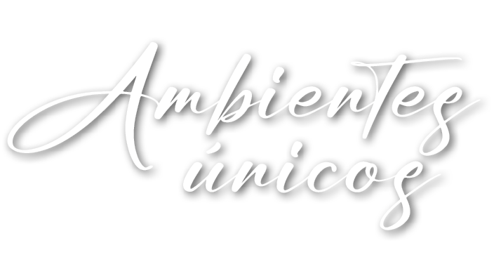 Ambientes nicos