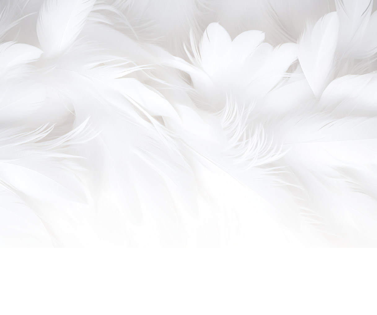 White Soft Feathers Background, White Fluffy feathers pattern, Beautiful feathers background, feathers wallpaper, bird feathers pattern, AI Generative
