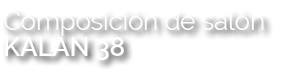 Composici n de sal n KALAN 38