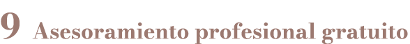 9 Asesoramiento profesional gratuito